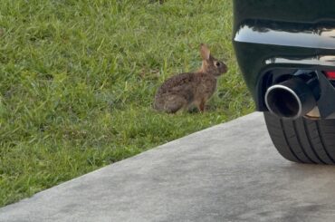 I love having visits like this at home.😩💕💕💕