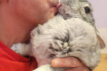 Happy Saturday from Miss Maggie and me <rabbit kisses>