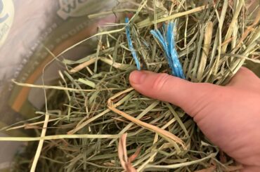Plastic in oxbow hay