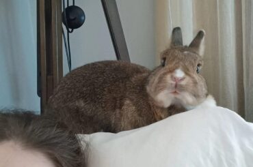 my little bemji turned 8yo