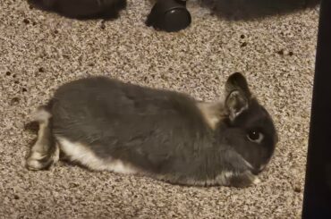 Sharing some breeaaadd