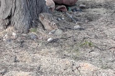 Nothing to see here!