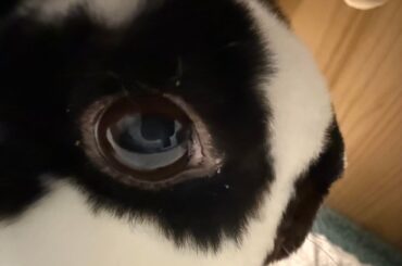 Spoon heard me scheduling the annual vaccines