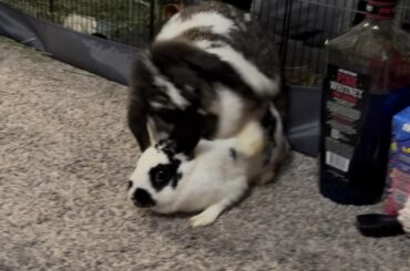 Why are they doing this? Please help.