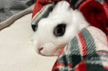 hotot or not??