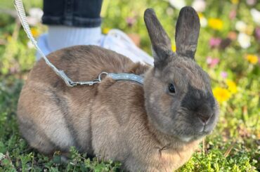 Easter walk🐇🥹