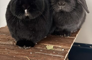 O_O