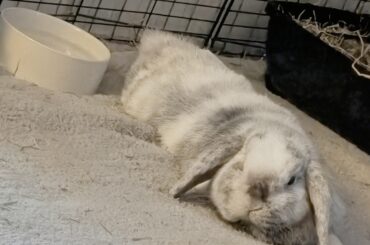 Would anyone believe this chill little baby had a leg amputated less than a week ago?