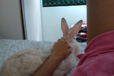 This bunny doesn't know it, but she's my medicine for depression and anxiety
