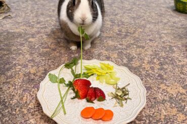 Sasha’s Easter dinner!
