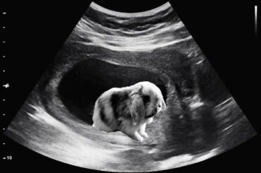 Obviously carried him for 9 months in my womb 😤