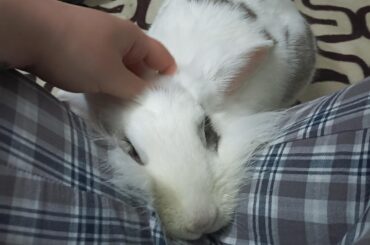 Chilling together after some chamomile tea