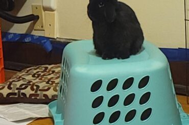 She wants to be tall