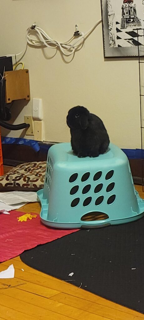 She wants to be tall