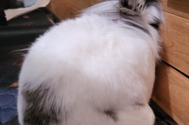 A PSA about head pressing