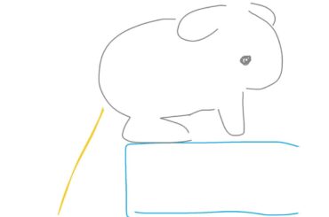 My rabbit is terrible at peeing.