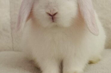 Hello!