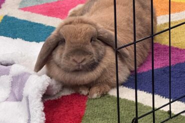 Our sweet girl needs a name!