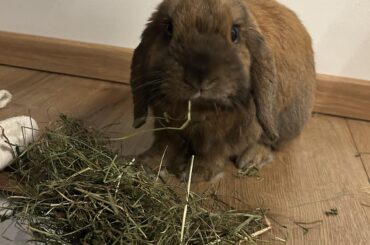 Weather front impact