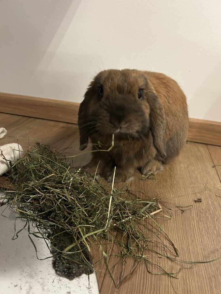 Weather front impact