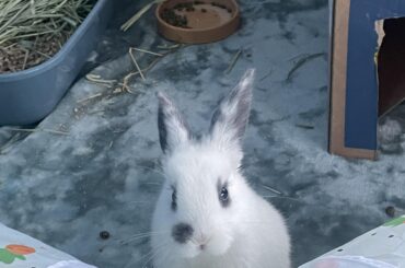 Meet Beatrice ❤️