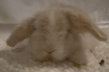 Name suggestions?