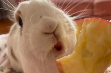 happy bunday💗