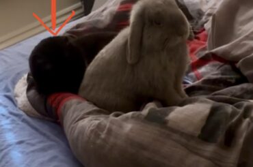 Are you constantly paranoid and worried about your buns?