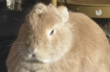 he looks angry