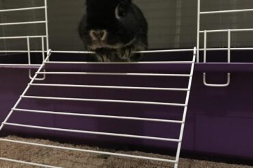 Rest in peace ❤️