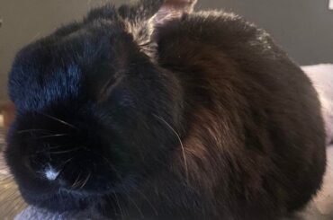 bunderful nap