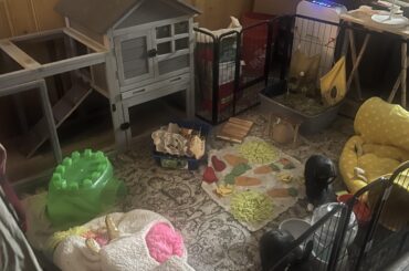 Need to downsize enclosure. Help?