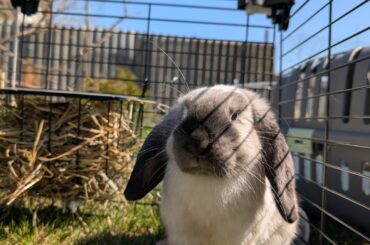 Shaun's first time spending time outside