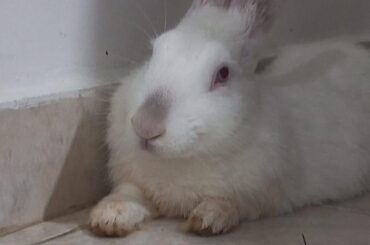 I just wanted to show you