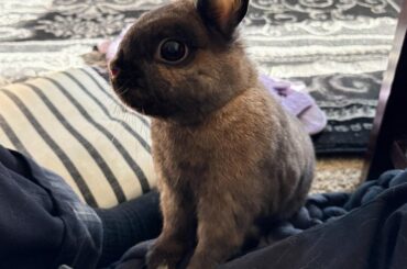 Spare treat, sir?