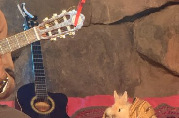 Putting on a show at open mic 🎤🐰