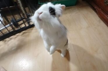 Bonding Anxiety (mine)