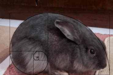 FIBUNACCI