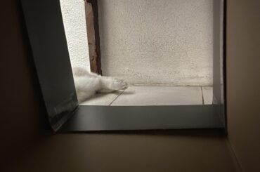 Look at those MAJESTIC feet