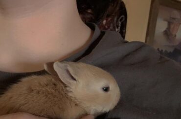 One of my baby buns