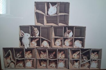 Which bunny are you?