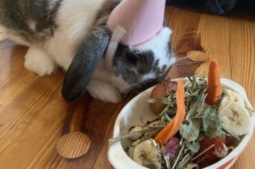 Looking for a perfume smelling like bunny's fur