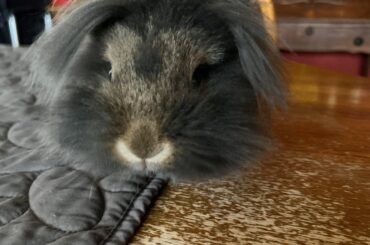 My little boy