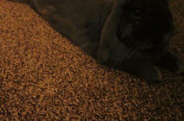 Some BUN loved Mondays !