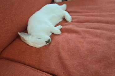 He had a rough day