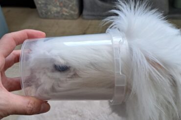 Need.. the... crumbs...