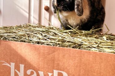 Hopper couldn’t wait to start eating his fresh delivery!