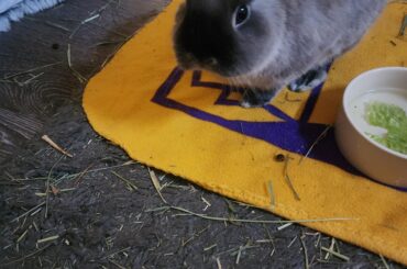 Importance of not waiting!