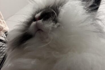 I didn’t know clouds can have moofs 🥰
