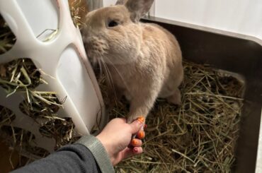 I'm not too attached to my bun, you are!